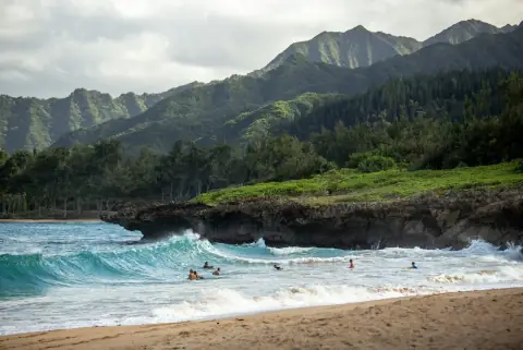 Swimmers along a North Shore beach